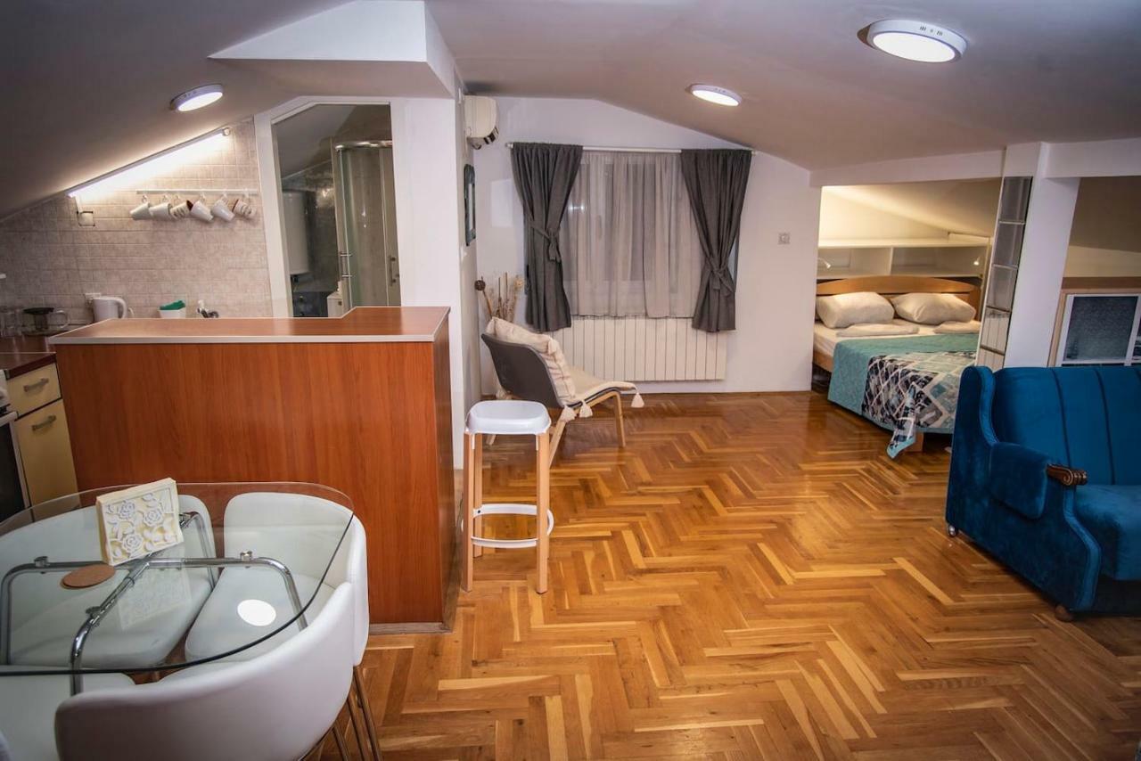 Piccolo Studio Belgrade,Crveni Krst エクステリア 写真