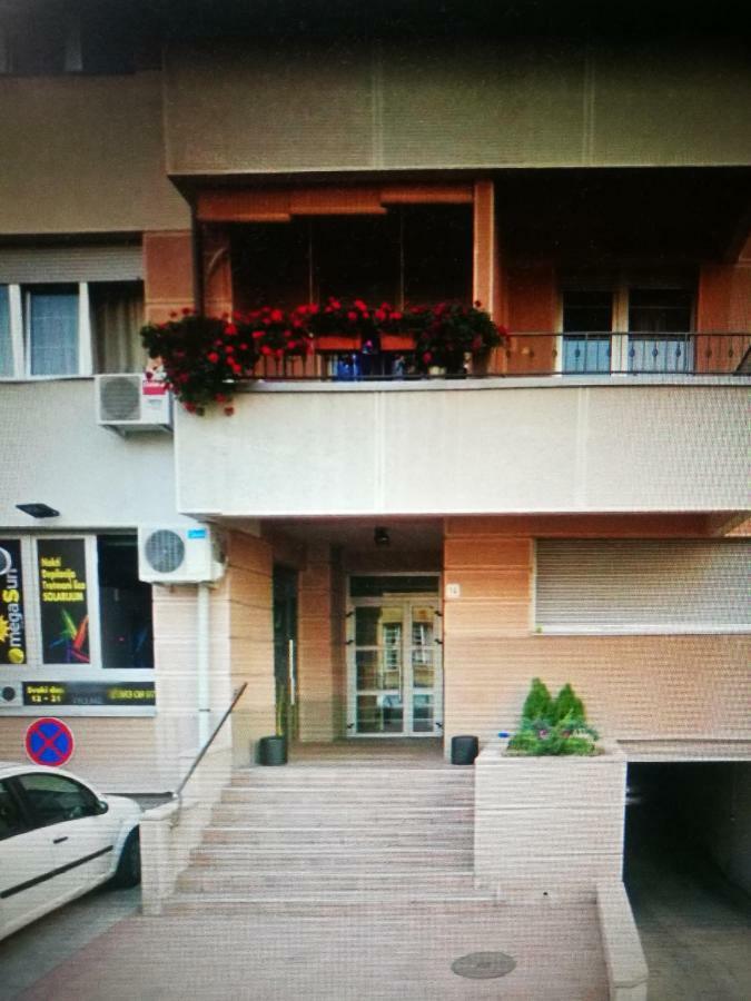 Piccolo Studio Belgrade,Crveni Krst エクステリア 写真